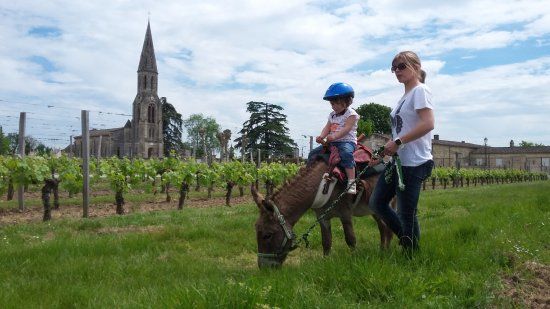La Ferme à Roulettes